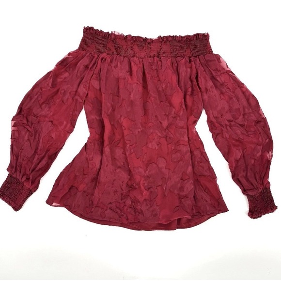 Romantic Boho Off Shoulder Top XS Whimsigoth Fairy Peasant Sheer Silk Burnout - Picture 4 of 8